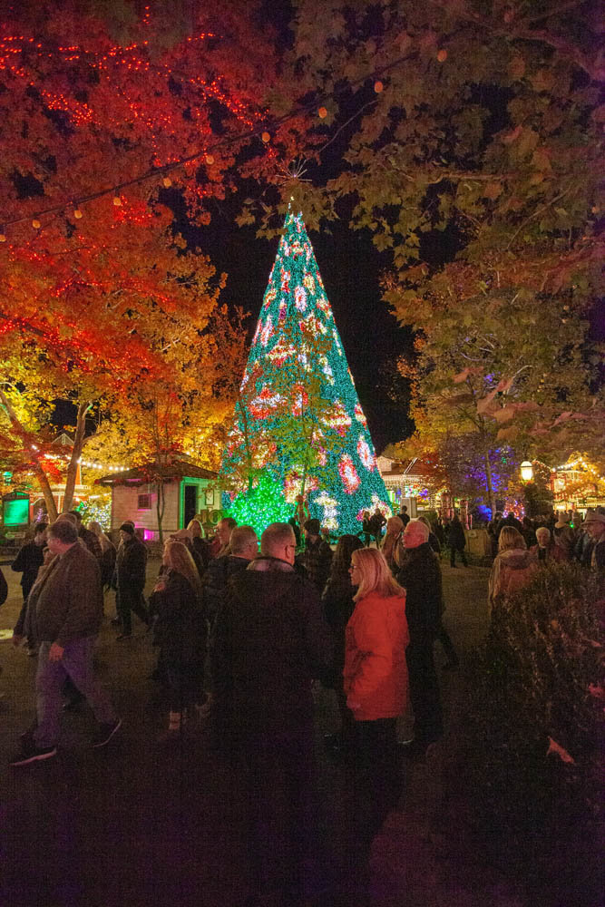 LET THERE BE LIGHT: Silver Dollar City on Nov. 1 unveiled its new $1.5 million Christmas tree and light show.